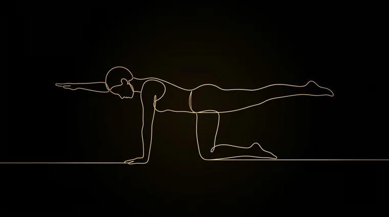 Line drawing — Bird Dog & Knee Hover